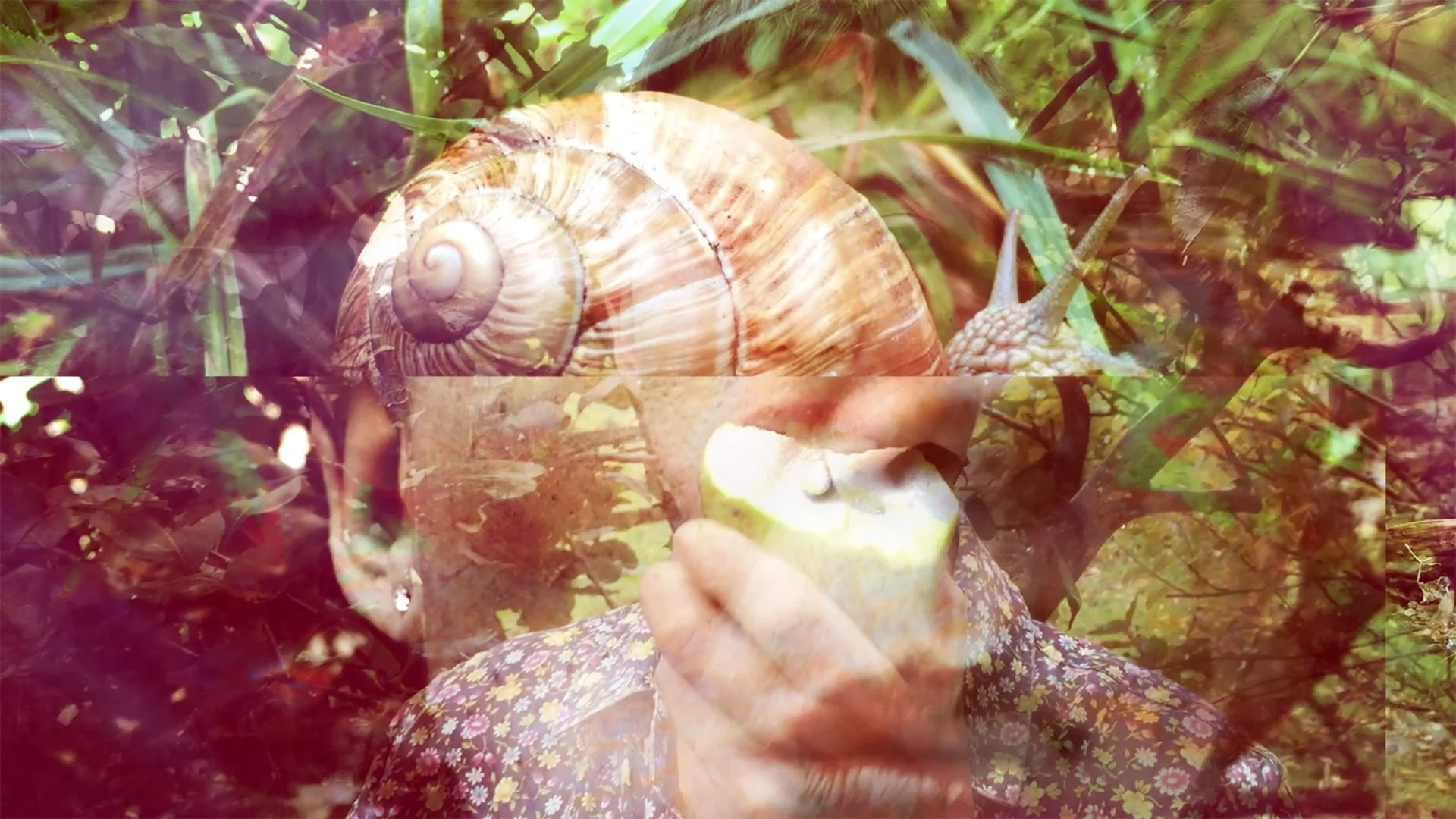 Philosophy of Psychedelics with Dr Peter Sjöstedt-Hughes