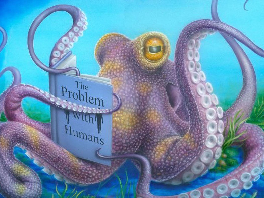 MDMA Assisted Therapy with Michael and Annie Mithoefer