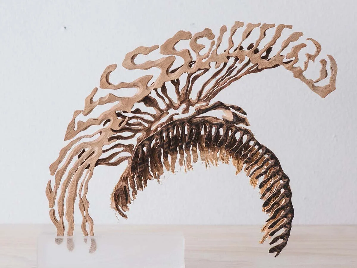 Substances and mechanisms with Dr Charles Nichols